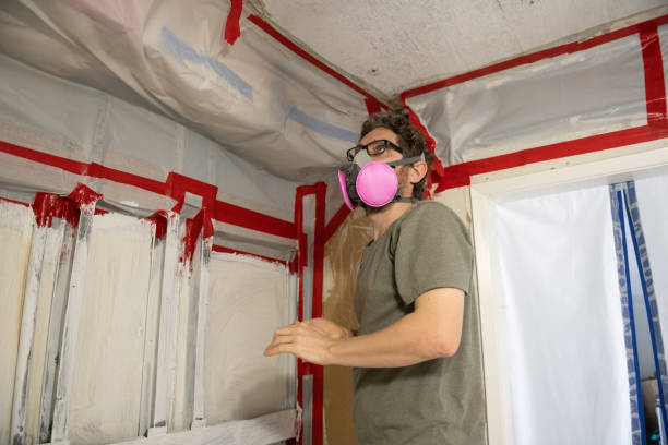 Trusted Inglewood, CA Mold Removal Experts