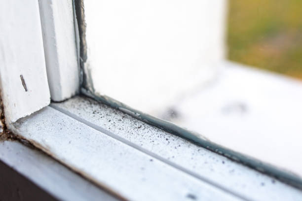 Best Residential Mold Inspection & Testing  in Inglewood, CA